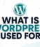 What Is WordPress Best Used For?